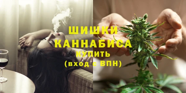 мдпв Лабытнанги