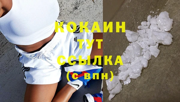 гашик Елизово