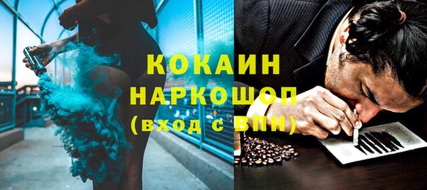 гашик Елизово