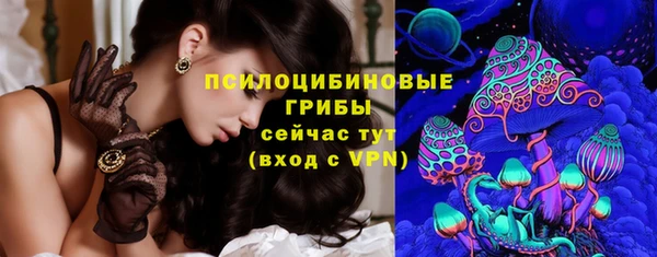 соль ск Елабуга