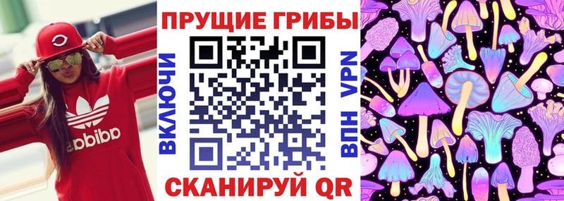 Псилоцибиновые грибы прущие грибы  Знаменск 